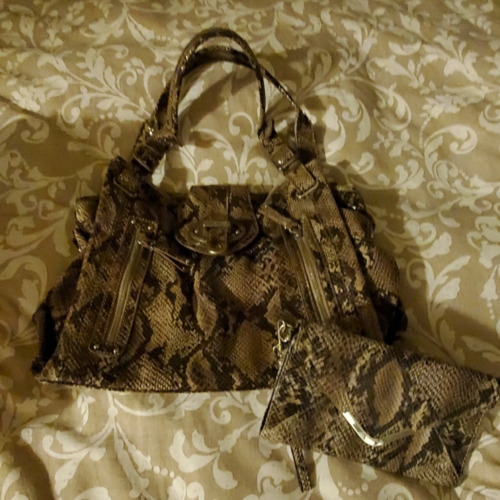 Snake Skin Purse and Wallet